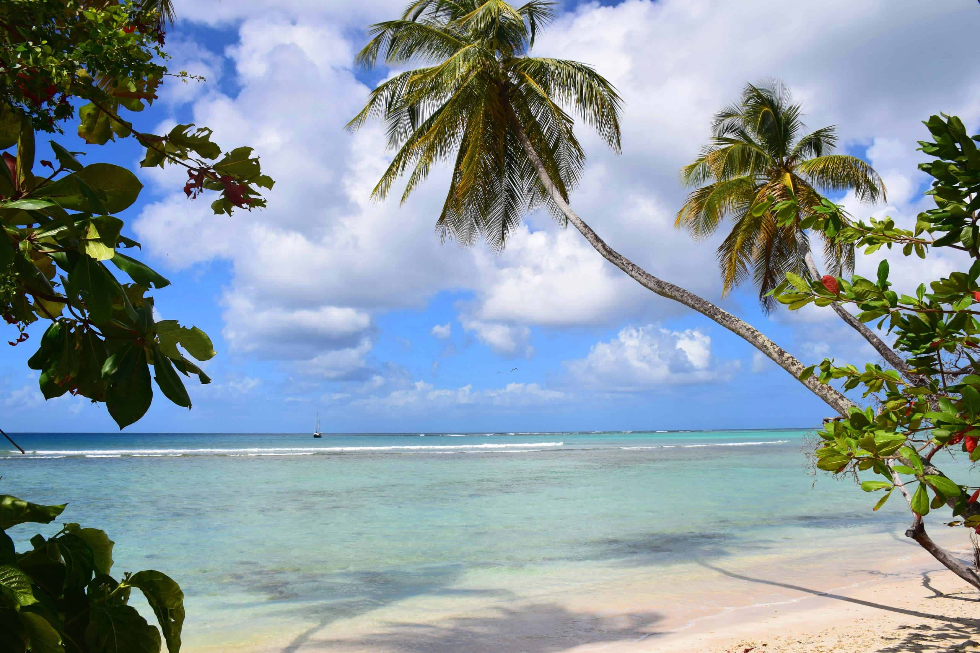 8 Idyllic Beach Photos That Will Inspire You To Visit Tobago Travel Bliss Now
