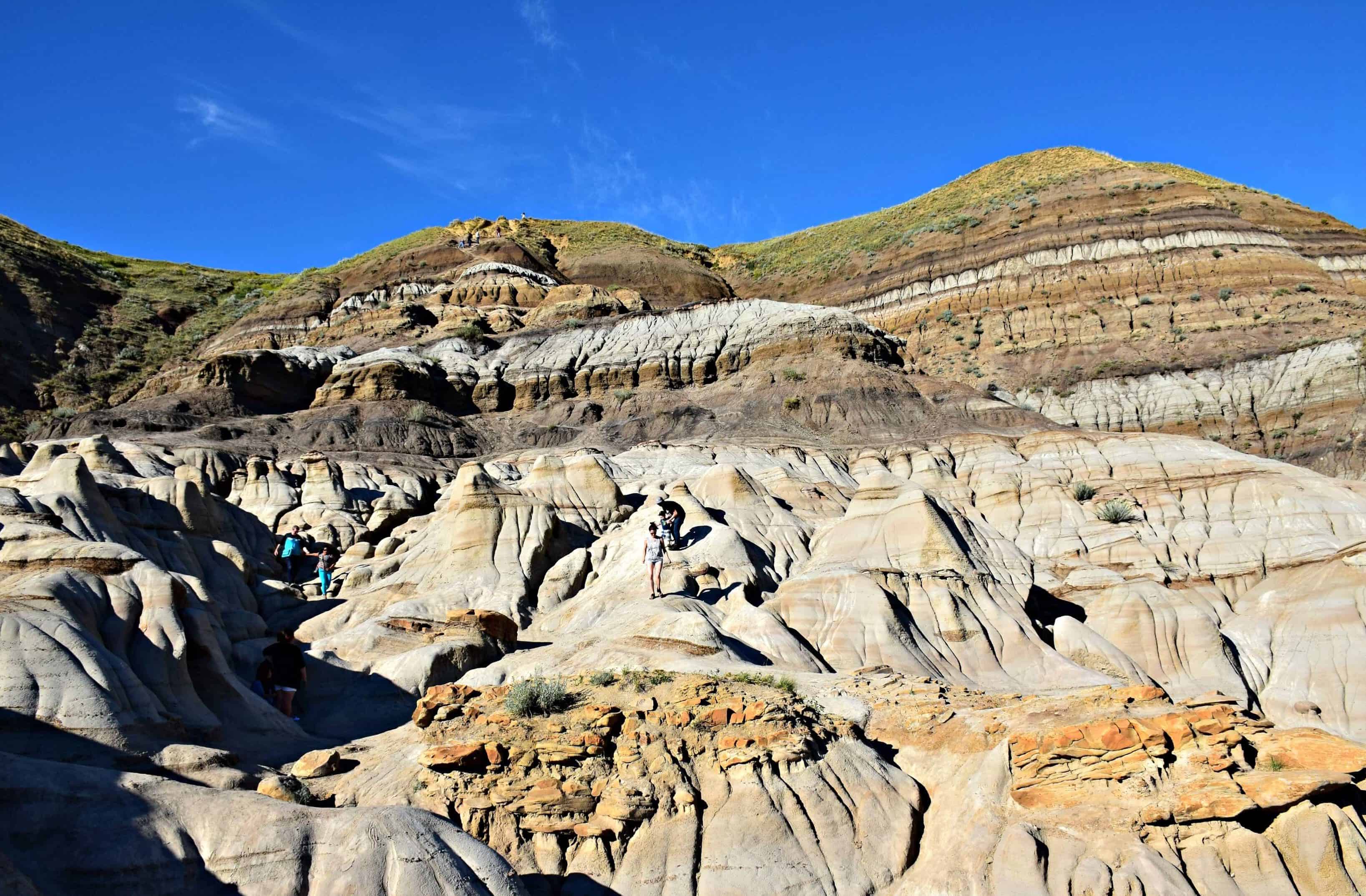 dinosaur tour alberta